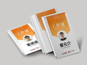 vi 印刷品與包裝裝潢印刷品印刷 品牌視覺的實(shí)體呈現(xiàn)
